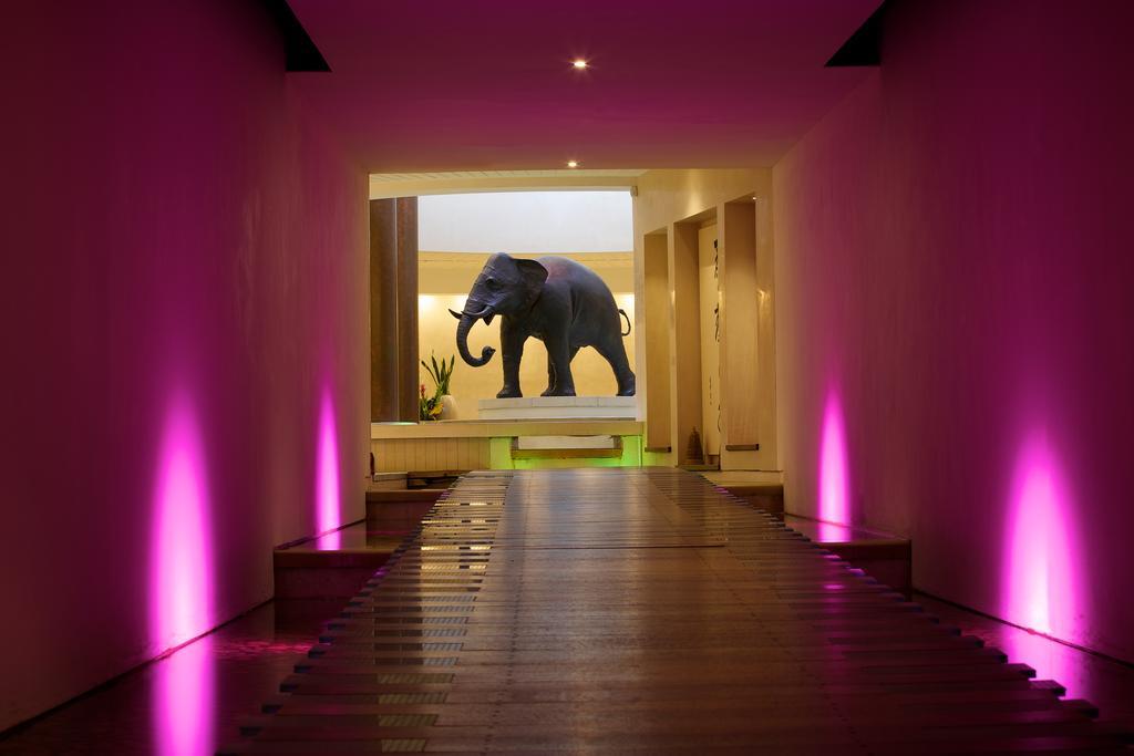 Seaham Hall And Serenity Spa Zewnętrze zdjęcie